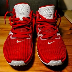 LeBron Witness VI Basketball Shoes